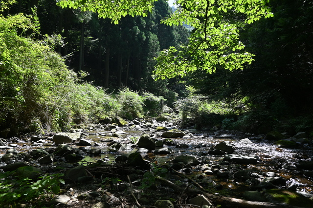 画像：日向渓谷