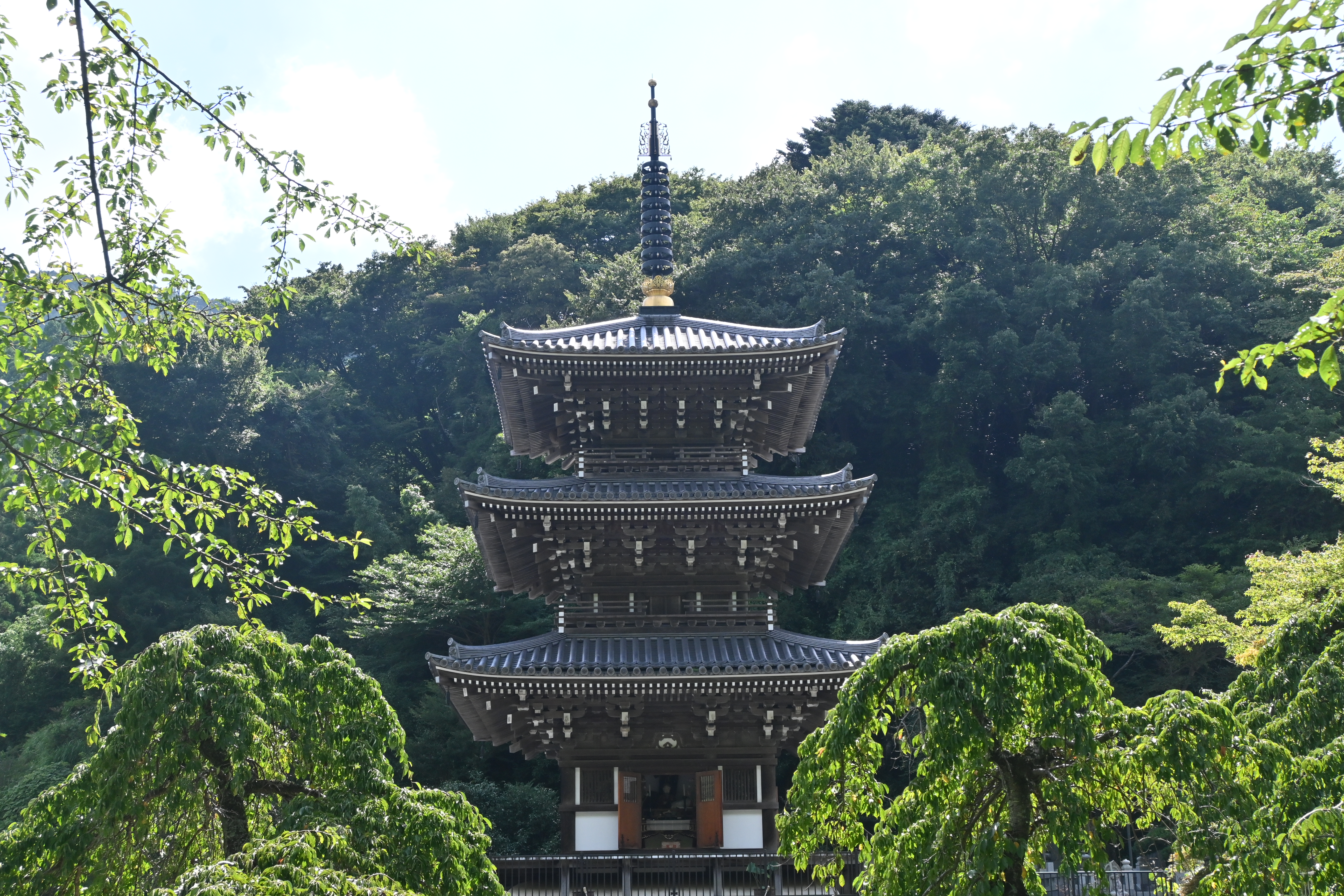 画像：浄発願寺
