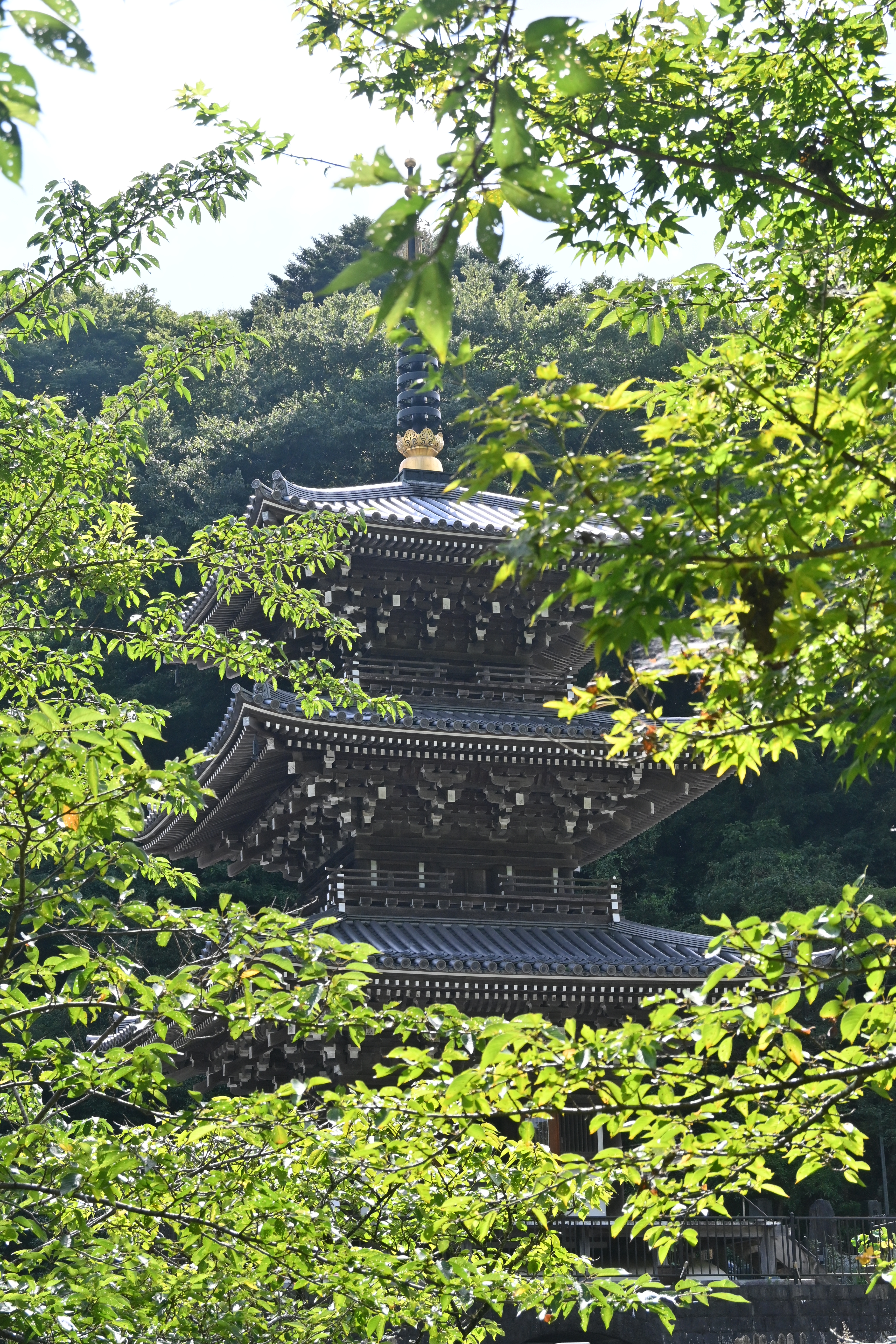 画像：浄発願寺