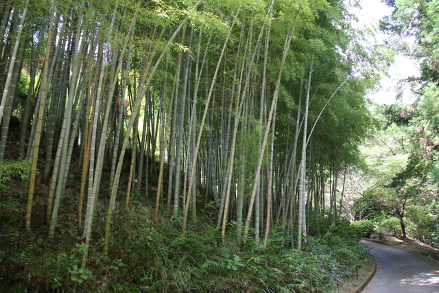 画像：石雲寺