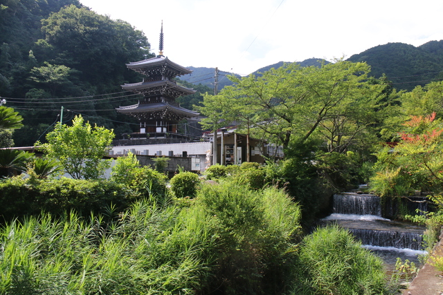 画像：浄発願寺