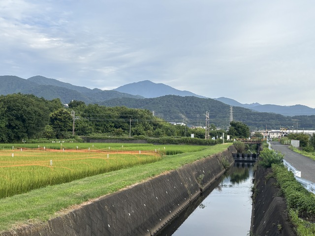 串橋地区