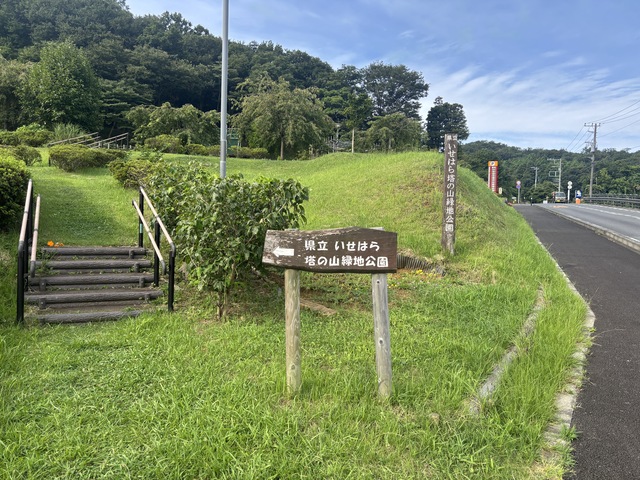 塔の山緑地公園