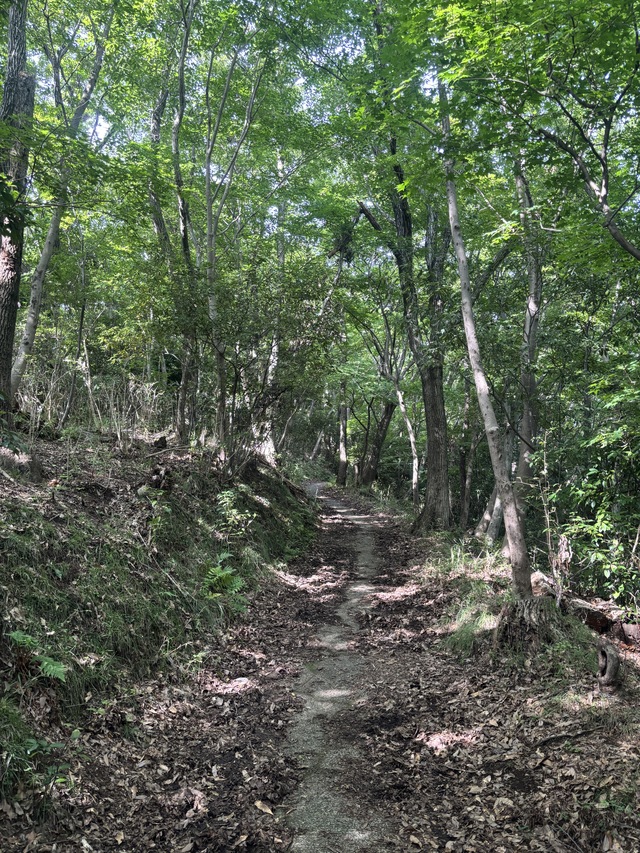 聖峰
