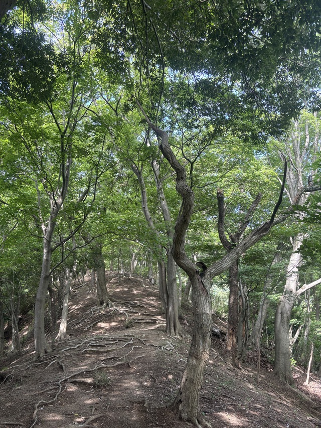 高取山