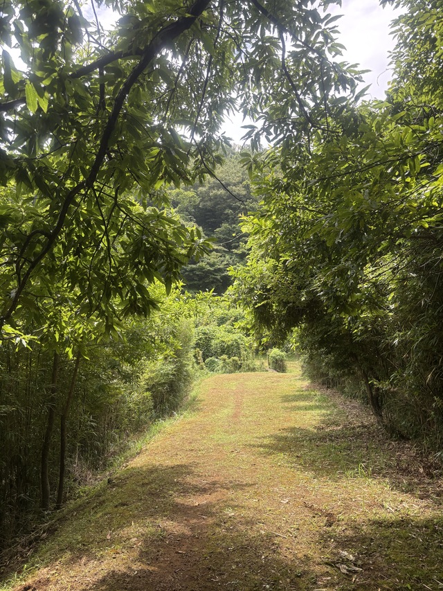 矢倉沢往還