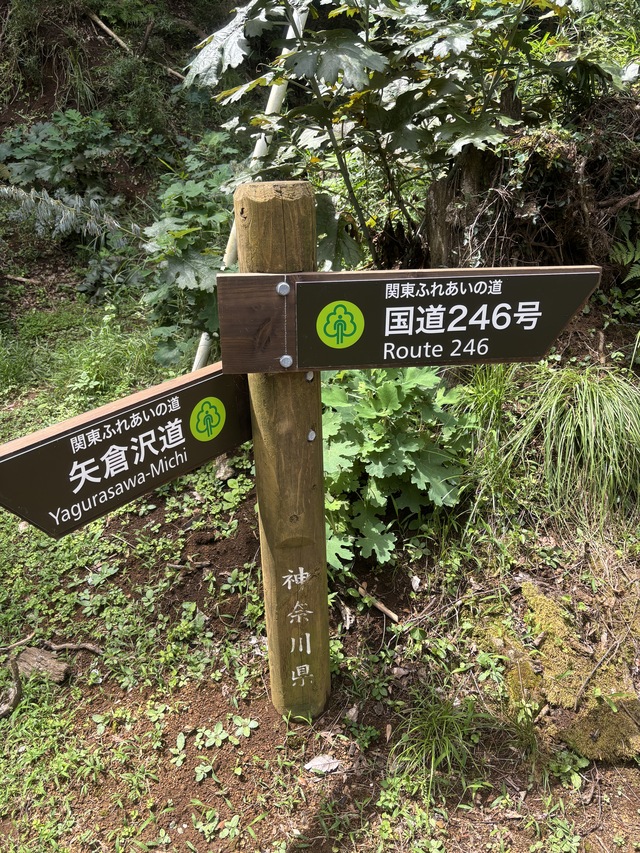 矢倉沢往還