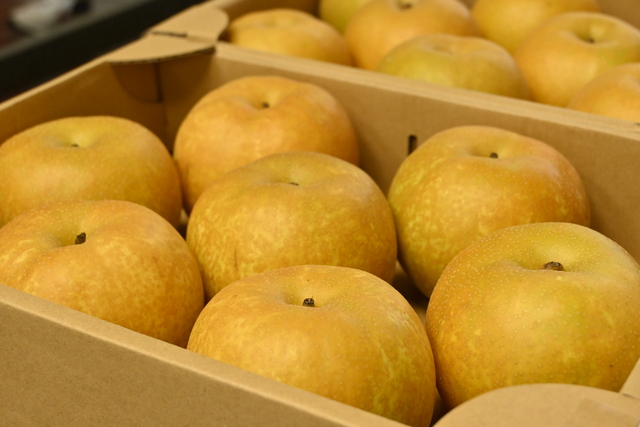 3 3