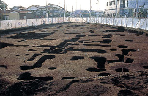 東大竹・市場遺跡の高床式建物群写真