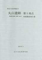 丸山遺跡第5地点発掘調査報告書　表紙イメージ