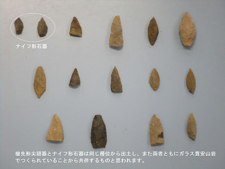 旧石器時代　槍先型尖頭器とナイフ形石器