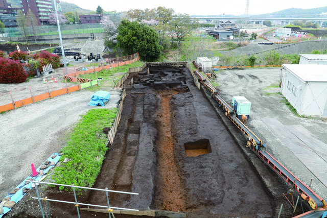 近世面全景 近世面全景