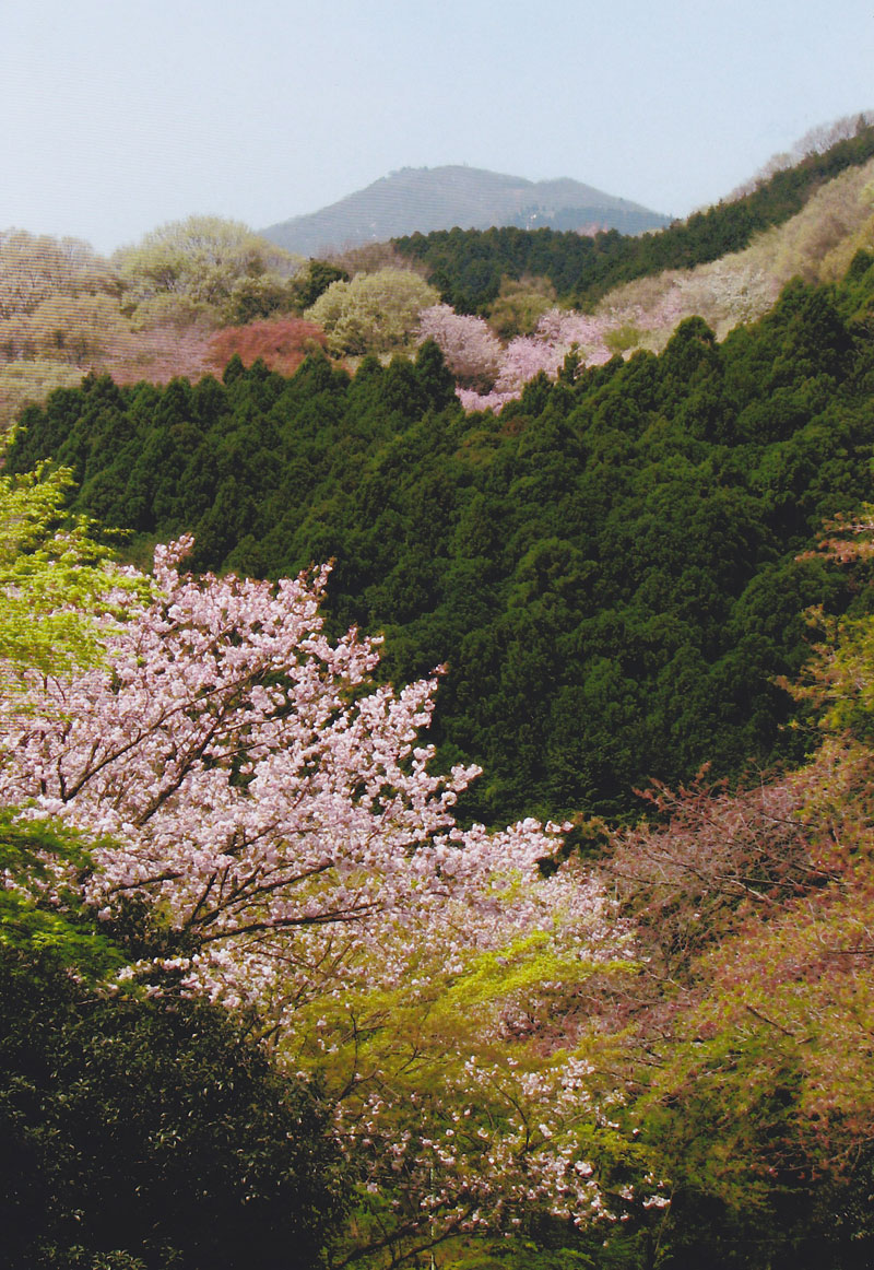 いせはら景観写真展作品集 | 伊勢原市