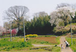 No.4