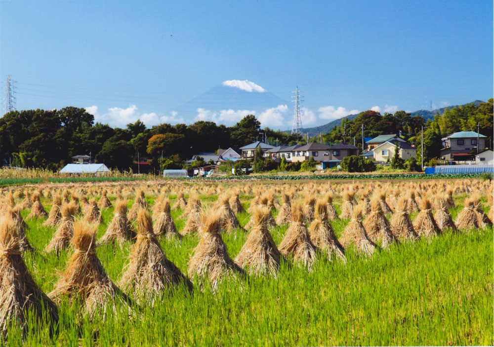 いせはら景観写真展作品集 | 伊勢原市