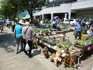 公園緑花まつり