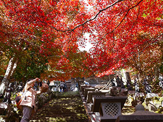 大山の紅葉 大山の紅葉