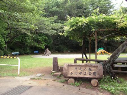 市民の森ふじやま公園 伊勢原市