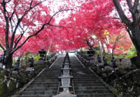 紅葉の大山寺(1)