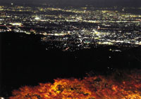 紅葉と夜景