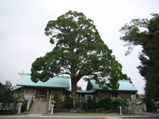 daijingu