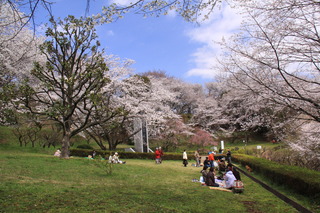 市民の森ふじやま公園 市民の森ふじやま公園