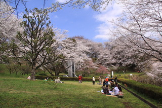 市民の森ふじやま公園