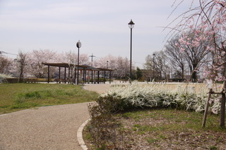 丸山城址公園 丸山城址公園
