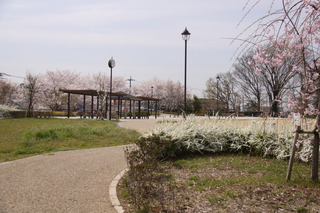 丸山城址公園