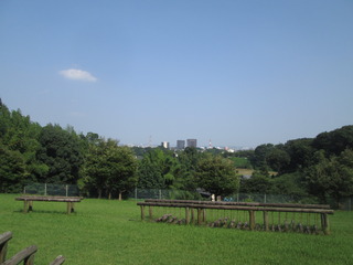 緑ヶ丘公園