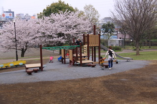 市民の森ふじやま公園 市民の森ふじやま公園