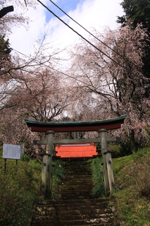 県立いせはら塔の山緑地公園