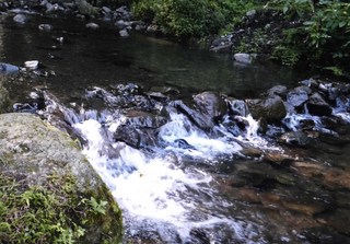 日向薬師の川