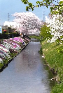 貼るの渋田川