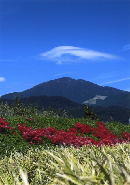 大山と彼岸花 大山と彼岸花