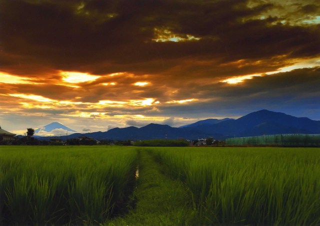 夕景 夕景