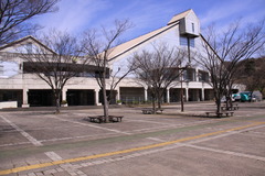 総合運動公園 総合運動公園