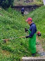 沼目地内草刈り1