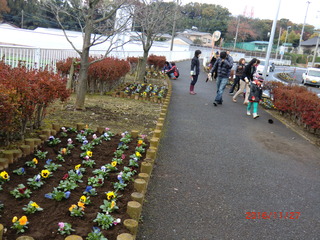 1県道花壇