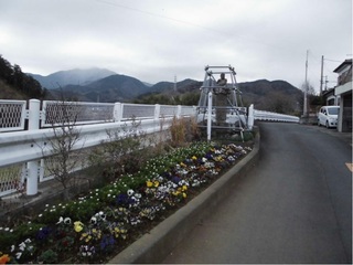 花壇植栽活動
