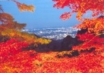 6青木　准★山寺の紅葉