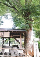 小中173