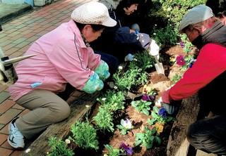 冬の植栽