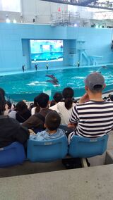 3-4 バス旅行