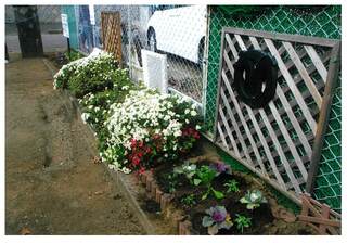 花いっぱい【機種依存文字】