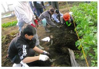 収穫【機種依存文字】