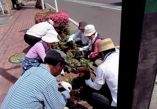 花植え1