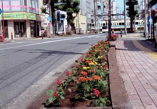 花植え2