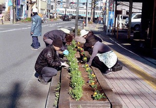 花植え