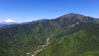 霊峰大山、初夏の色彩